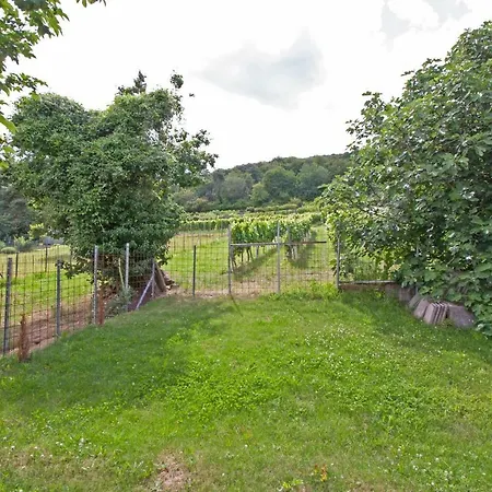 Anneliese Neustadt an der Weinstraße