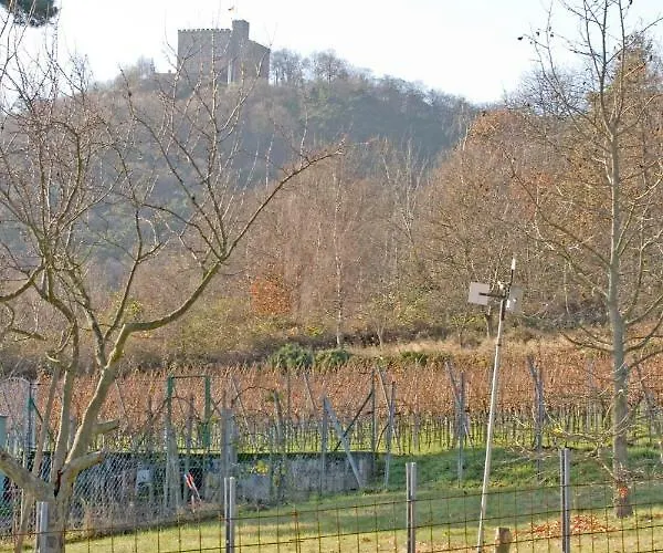 Anneliese Apartamento