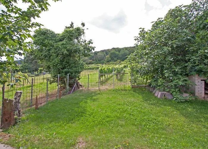 Anneliese Нойштадт-ан-дер-Вайнштрасе